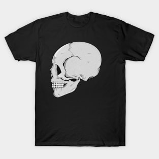 Skull (white background) T-Shirt